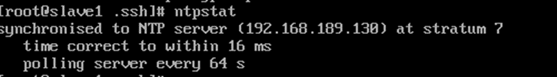 image-20240428213313022
